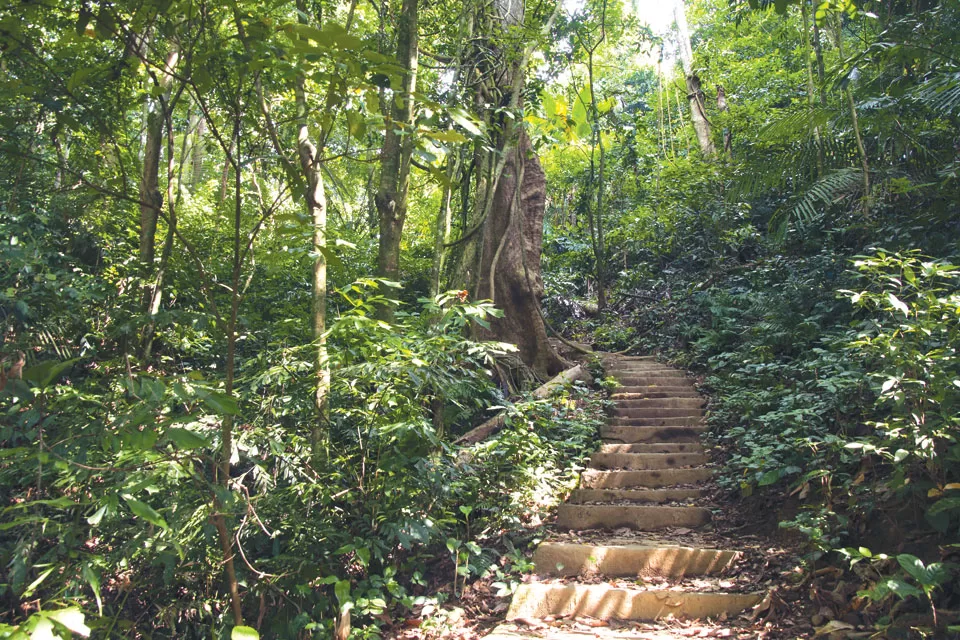 Cuc Phuong National Park In Vietnam
