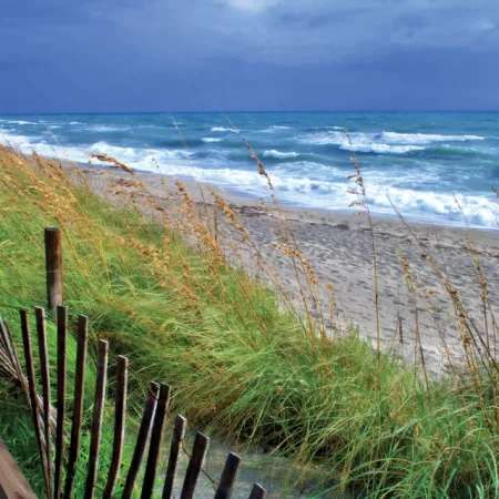 The World Moved by Larry Turner, The Light Magazine