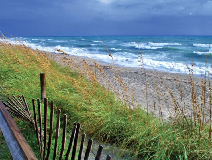 The World Moved by Larry Turner, The Light Magazine