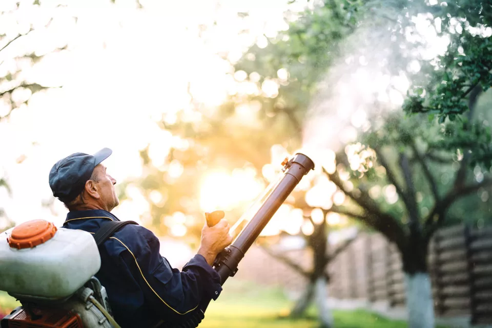 dontsaygnatsandquit01