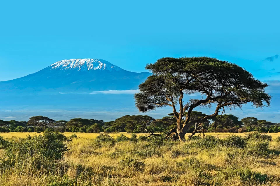 northernwhiterhino02